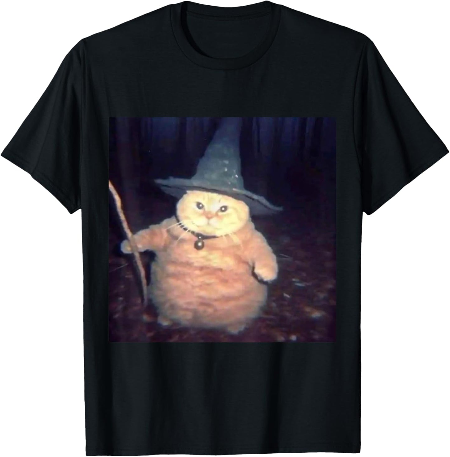 Wizard Cat Weird Funny Halloween Cat Meme