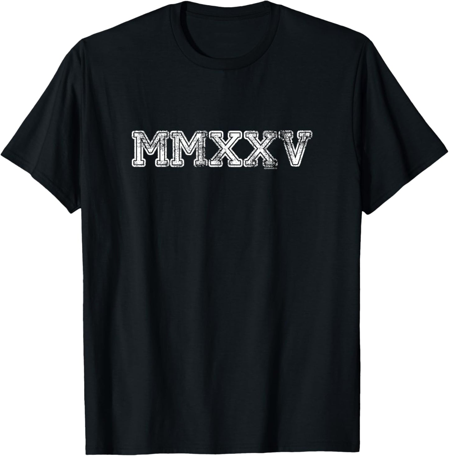 Class of 2025 MMXXV | Graduation Spirit Vintage Senior 2025