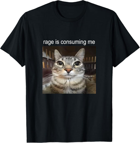 Rage Is Consuming Me Silly Staring Cat Meme