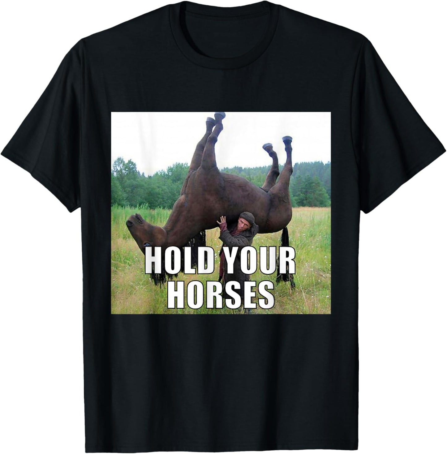 Hold Your Horses Funny Meme
